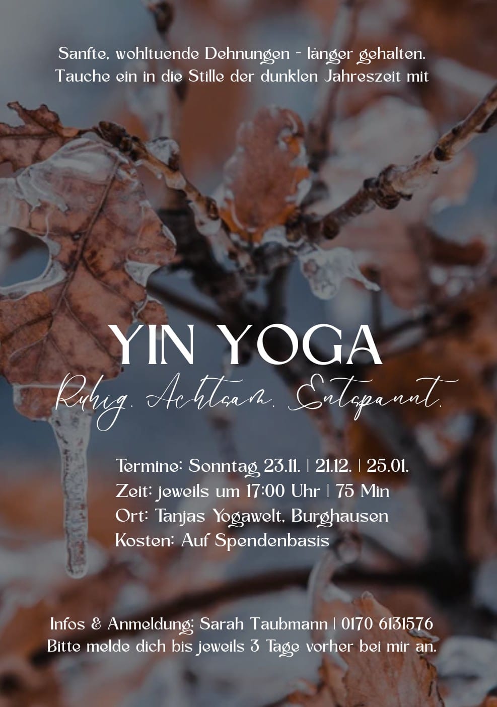 Yin Yoga Sarah